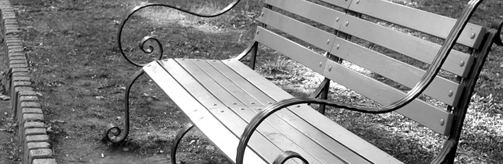 Empty park bench