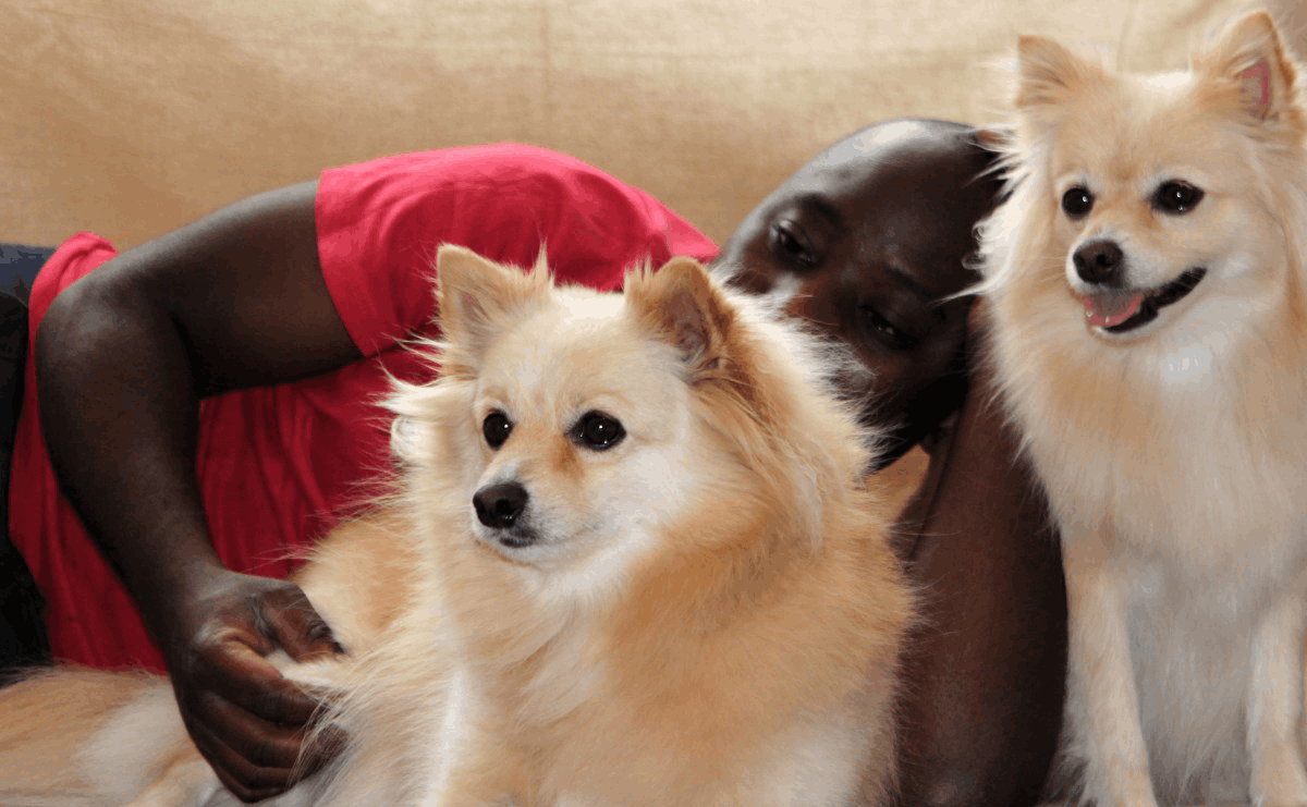 Do Help For Pets
